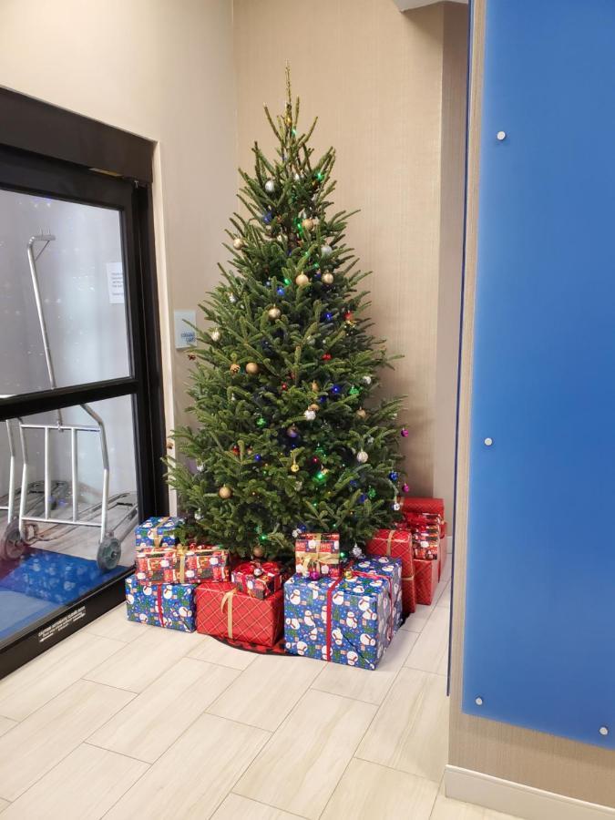 Holiday Inn Express St. Augustine - Vilano Beach By Ihg Exteriör bild