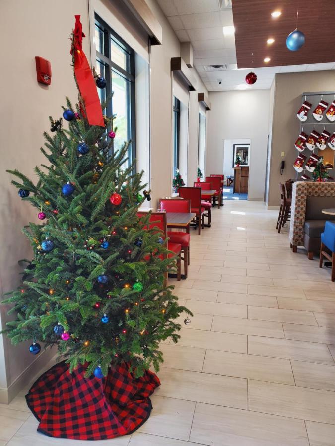Holiday Inn Express St. Augustine - Vilano Beach By Ihg Exteriör bild